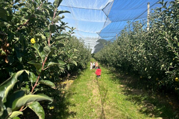 Visite du verger le 29 septembre 2025