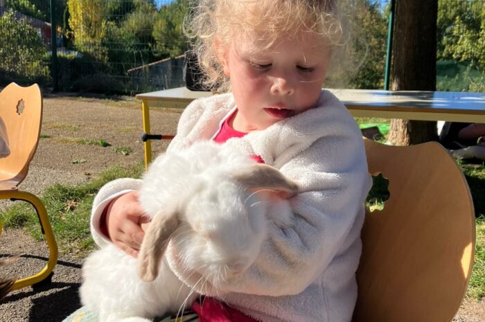 Visite des animaux à la crèche le 28 octobre 2025