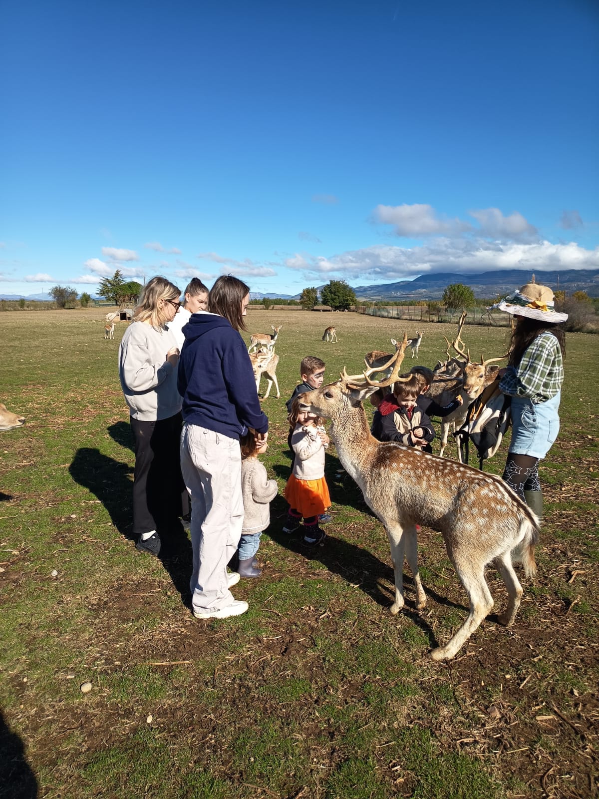 Halloween à la ferme jeudi 30 octobre 2025