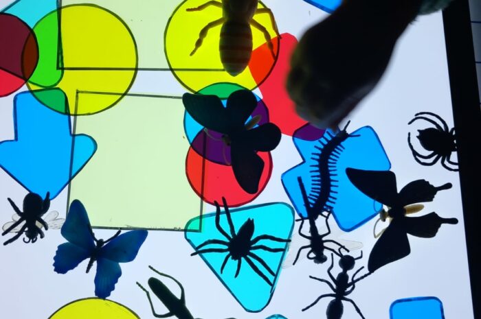 Exploration avec la table lumineuse – 3 décembre 25