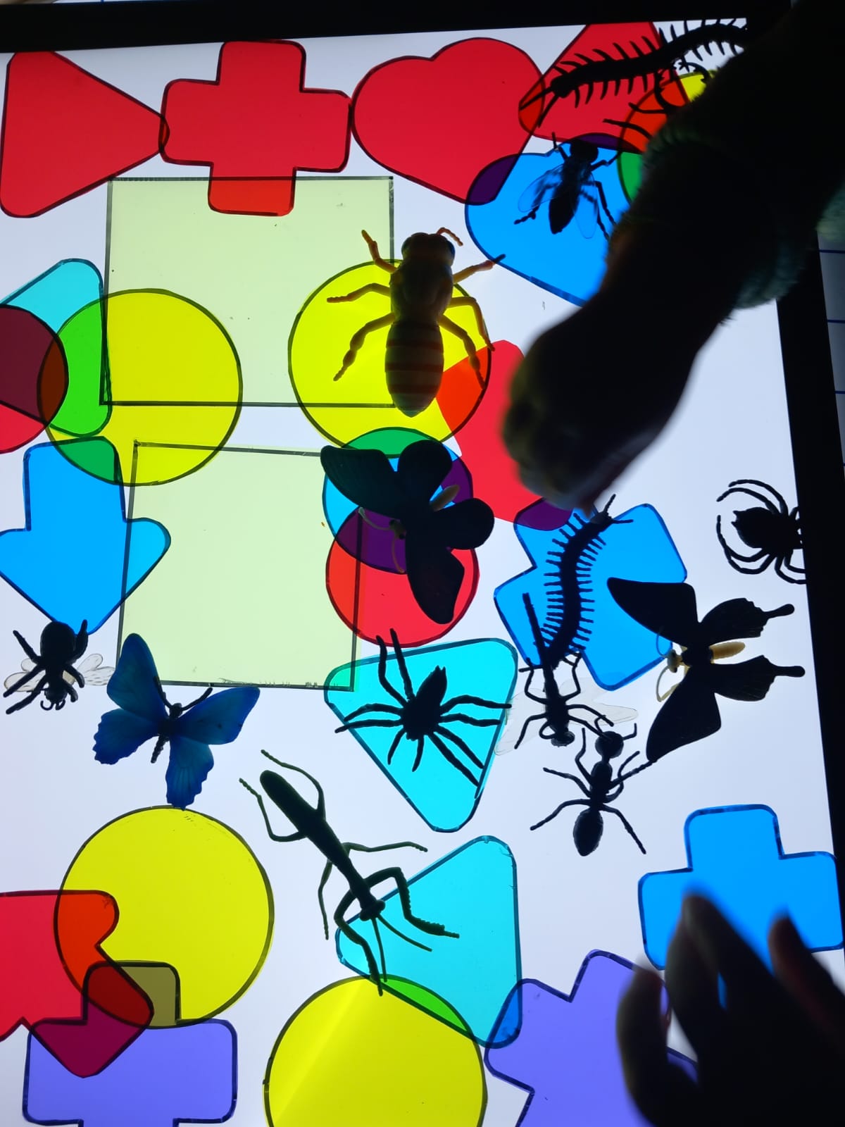 Exploration avec la table lumineuse – 3 décembre 25