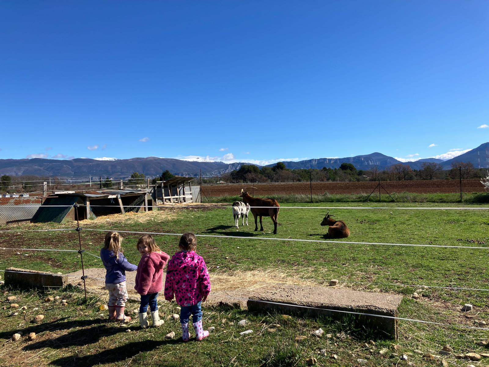 Visite à la ferme La Bohème le 12 mars