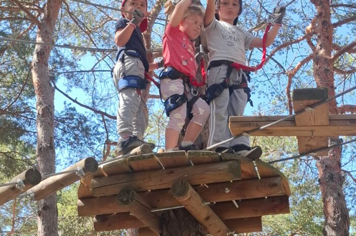 Accrobranche au camping La Farigoulette