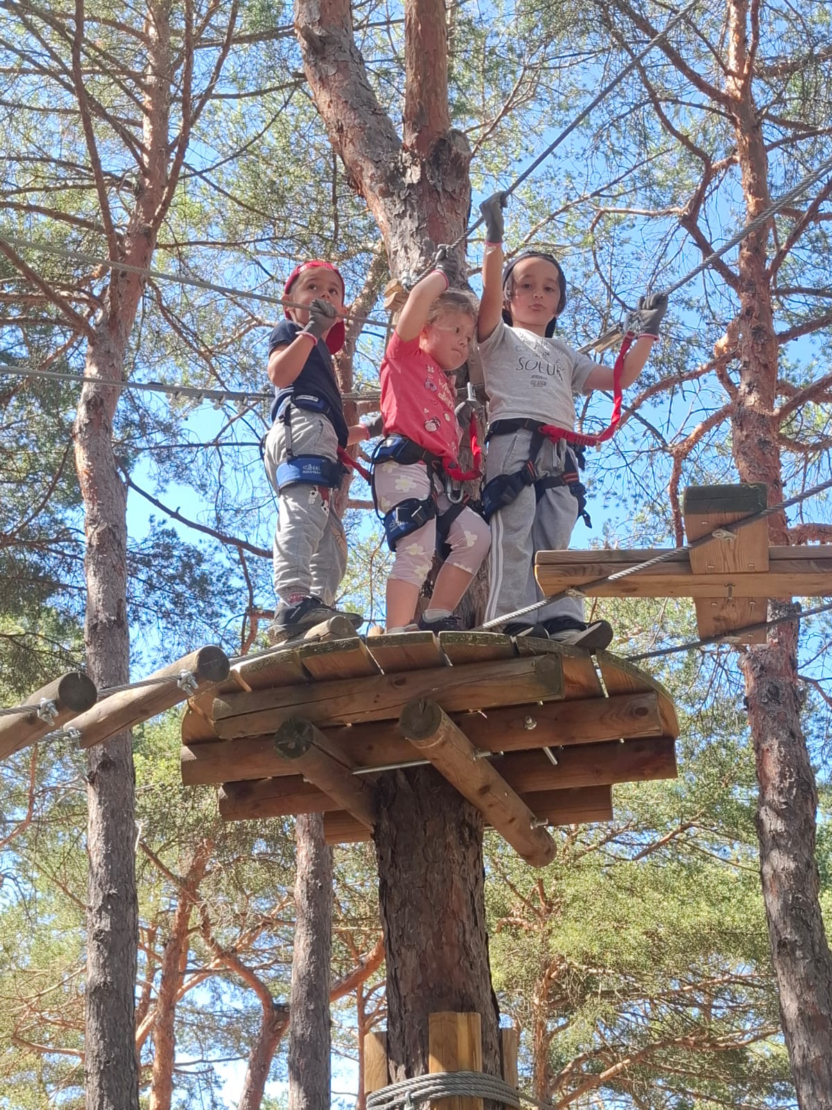 Accrobranche au camping La Farigoulette